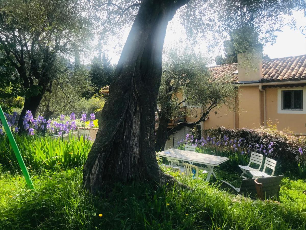 Residence Lou Naouc Γκρας Εξωτερικό φωτογραφία