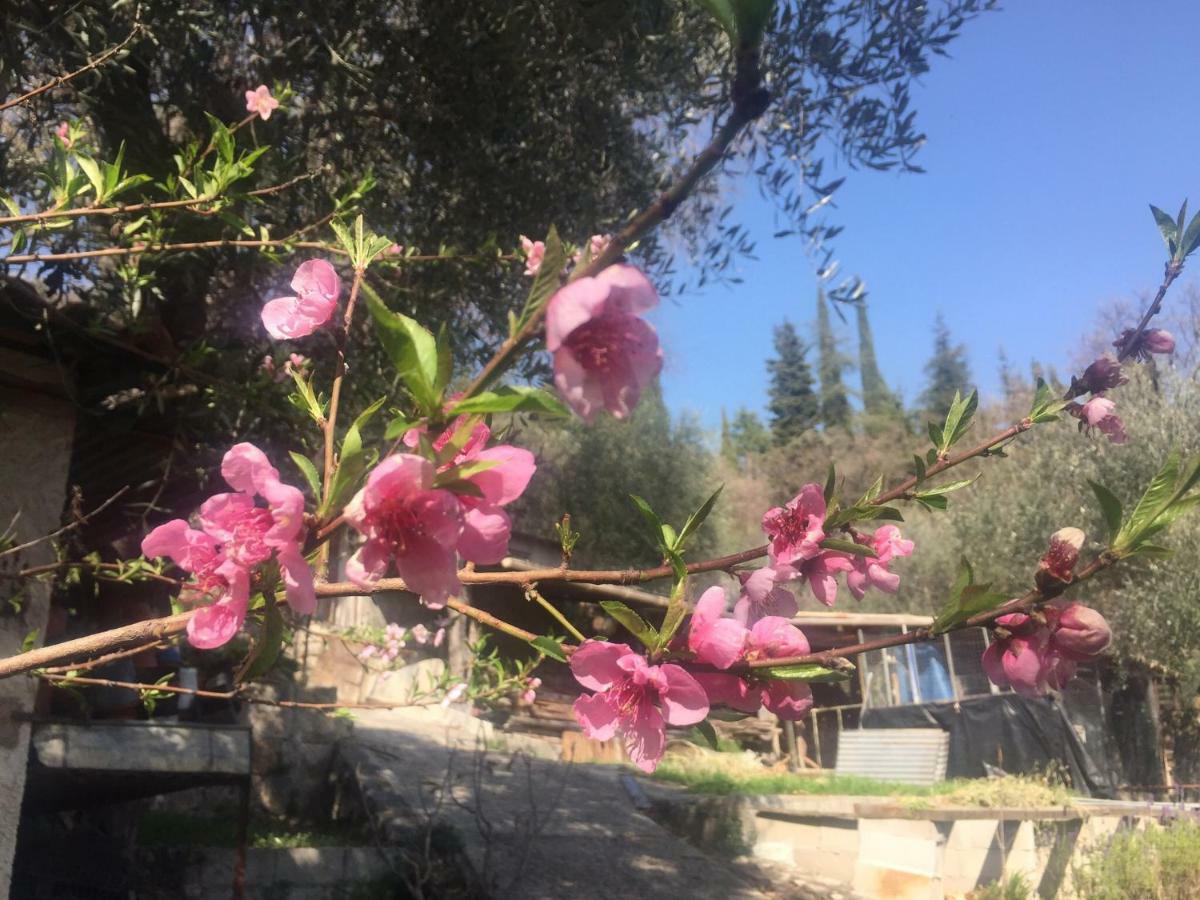 Residence Lou Naouc Γκρας Εξωτερικό φωτογραφία